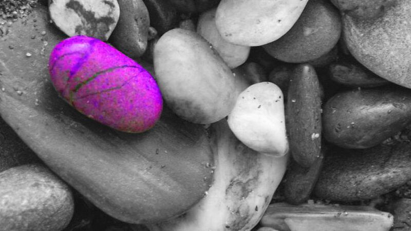 Black and white image of river rocks with one colorized purple rock amongst them