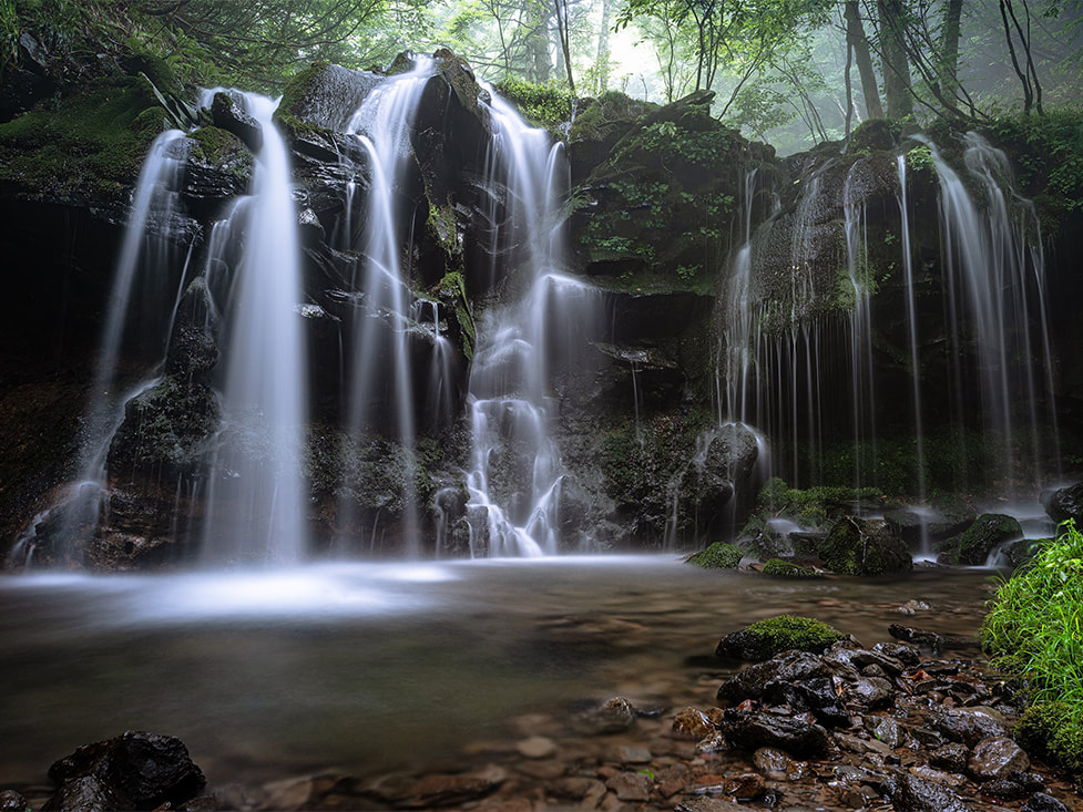 Woodland waterfall as an example of what  you learn in our landscape photography classes