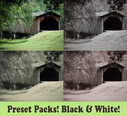 4 images of the same covered bridge with different black and white filters applied