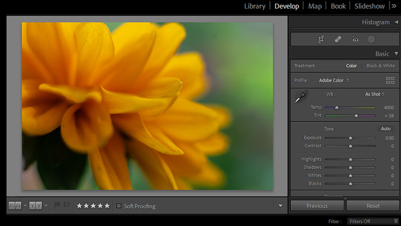 Screenshot of Lightroom photo editing software and some of the tools you will learn for editing with sample photo of yellow flower close up